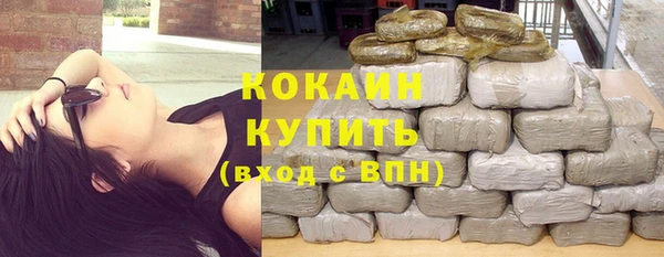гашик Алзамай