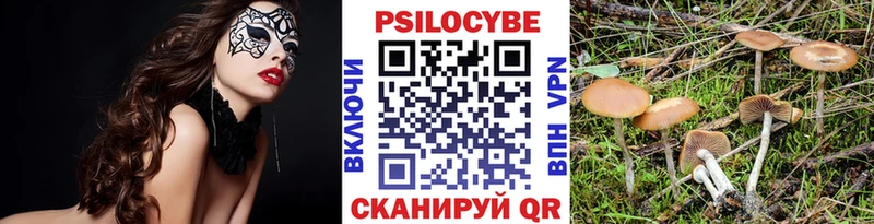 гидра ТОР  Набережные Челны  Псилоцибиновые грибы ЛСД  магазин продажи наркотиков 