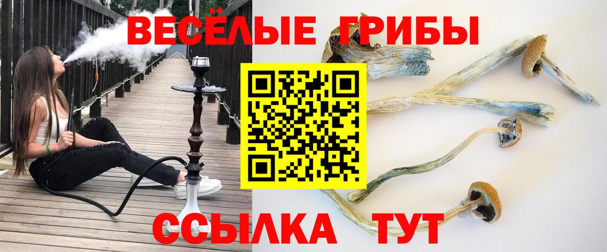 Псилоцибиновые грибы мухоморы  Вход с VPN  Набережные Челны 