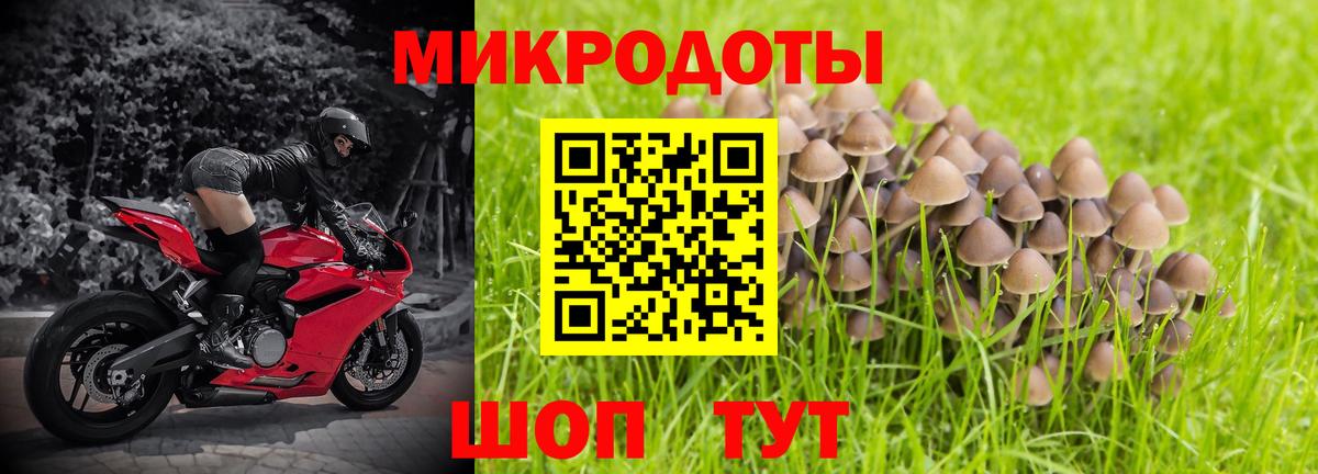 Псилоцибиновые грибы MAGIC MUSHROOMS Набережные Челны
